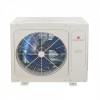 DM-ADC165WLC/F  DANTEX