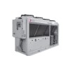 DN-1104BUSTOF  DANTEX