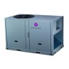 DR-B125CPD/SCF  DANTEX