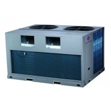 DANTEX DR-B175CPD/SCF